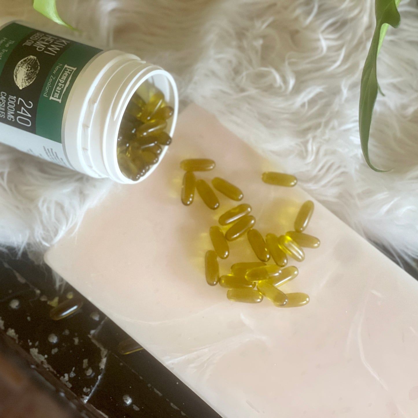 Kiwi Hemp Seed Oil 500 x 1000mg soft gel Capsules (Spray Free)